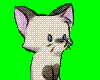 Meowx