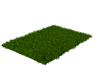 FUR RUG SPRING