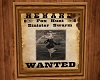 Wanted Reward - Old West