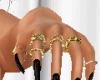 *V.V* Black + Rings
