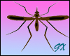 Animated Mosquitos