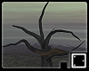 ♠ Dead Tree Platform