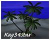 Island Dream Palm Trees