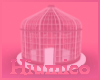 頹Gazebo Flowered頹