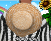 (A) Beachday Hat