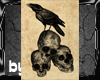 Raven with Skulls Sticke