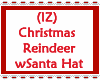 Reindeer With Santa Hat