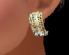 ~CR~Diamond&Gold Earring