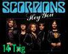 Scorpion Hey You
