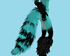 Blk Turquoise Tail