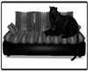 : Black Tiger Couch