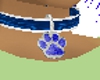 Blue Puppy Pay Collar