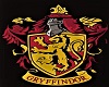 Gryffindor Library