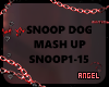 SNOOP DOG MASH UP
