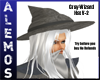 Gray Wizard Hat V-2