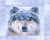 DF Wolf Icon 2