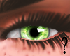 S- Green Eye F