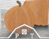 Fall Pumpkins V3