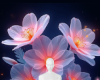 Enchanted Flowers Bg