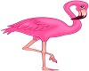 Pink Flamingo