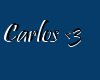 carlos <3 *request*