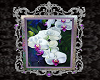 Orchid Framed 2