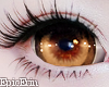 Dolly Brown/Orange