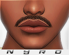Stache V1