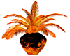 Hellsfire Potted Palm