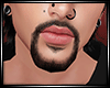 LS~BEARD v2