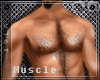Muscle guy !