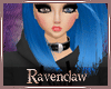 Ravenclaw Hoody [o]
