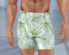 Ginko Green Swim Trunks