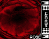 [V] Vvi Rose