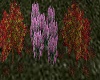 iK* Autumn Flowers +