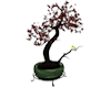 Jade Bonsai Tree wBirds