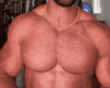 #1 Chest Scaler 110%