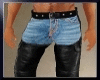 MUSCLE JEANS AND CHAPS I