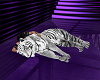 White Tiger Cuddle