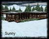 *SW* Large Winter Home