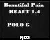 Beautiful Pain