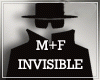 Invisible