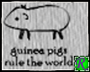 ~JRB~ Guinea Pig Rule