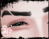 🌸 Korean Eyebrow II