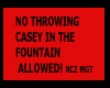CASEY  SIGN