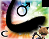 (C) Black Cat Tail M