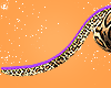 Cheetah Tail