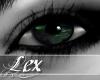 LEX in the woods - eyes