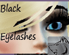 Black Eyelashes