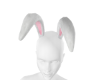 KTN Bunny Ear White